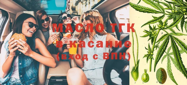 гашик Нягань