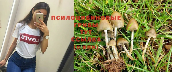 гашик Нягань