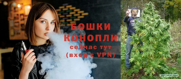 метадон Няндома