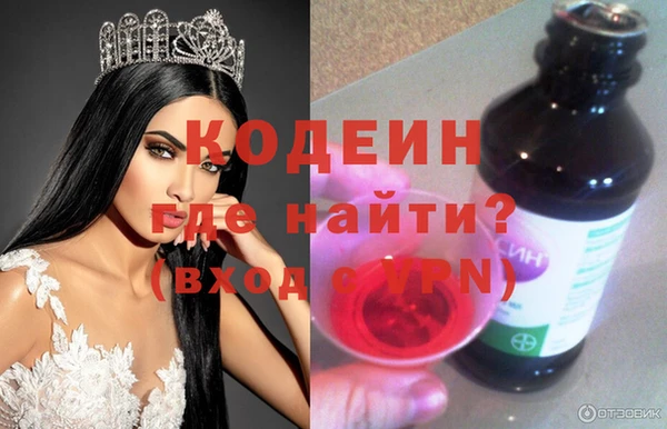 метадон Няндома
