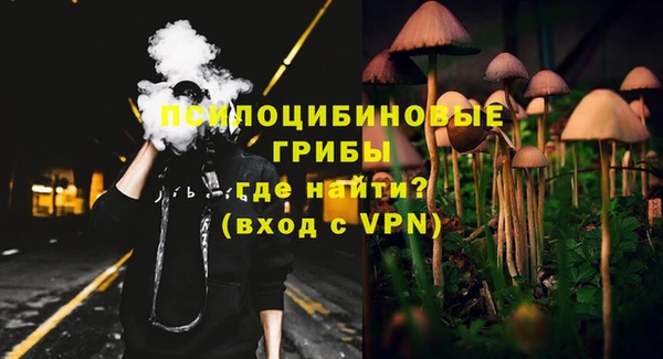 дурь Нязепетровск